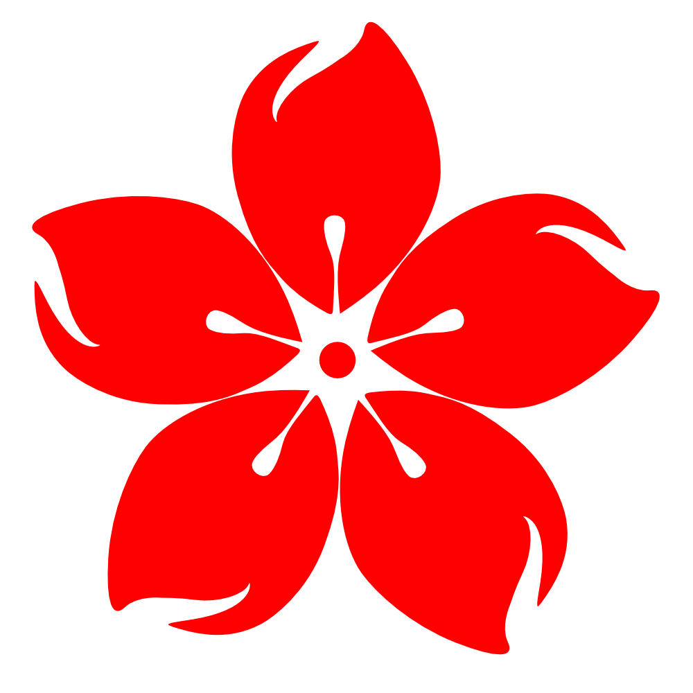 Sakura Beyond